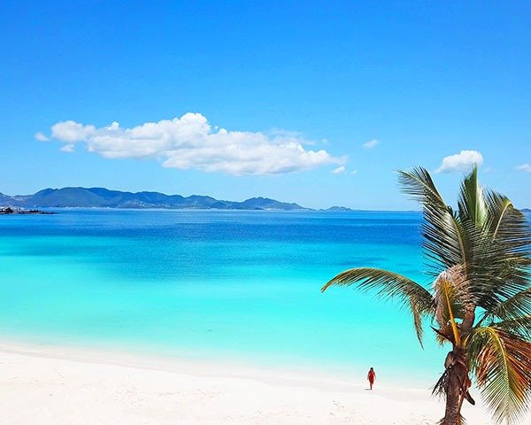 rendezvous-bay-anguilla-beach-drone-view-m5K2WxPvw6sxV10N